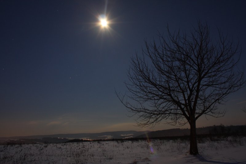 Winter 18.12.2010_7.JPG